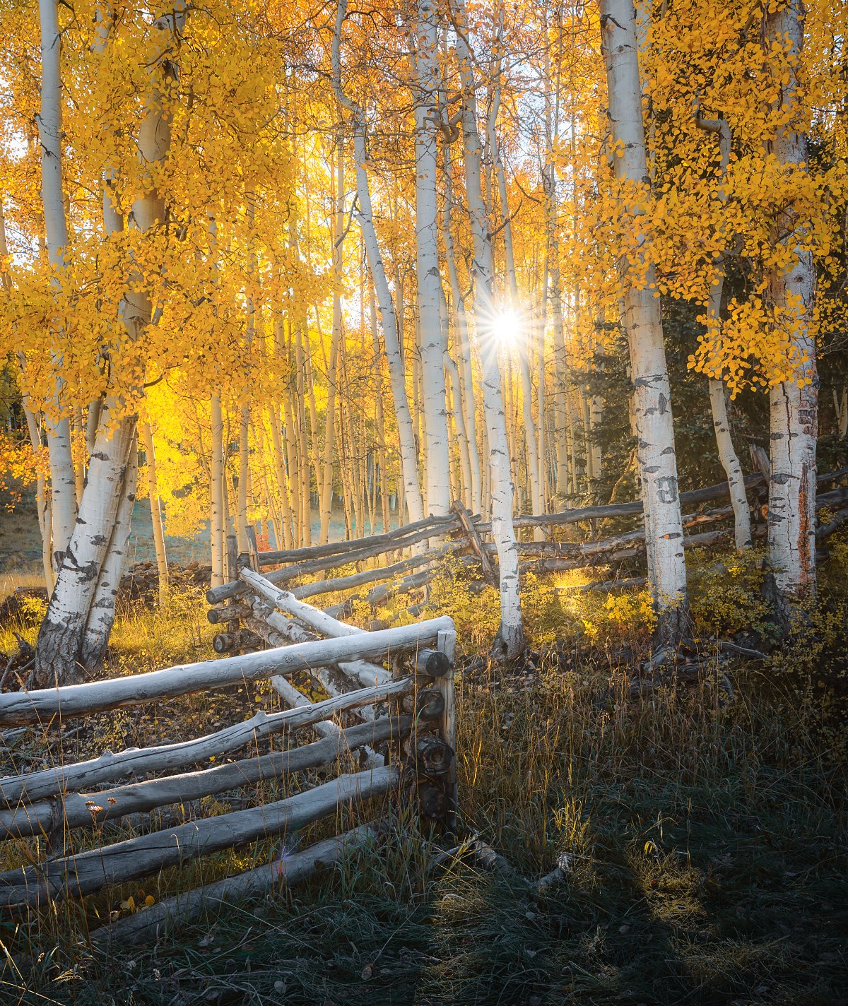 1-2-1 Virtual Sessions — Mark Denney | Landscape Photography